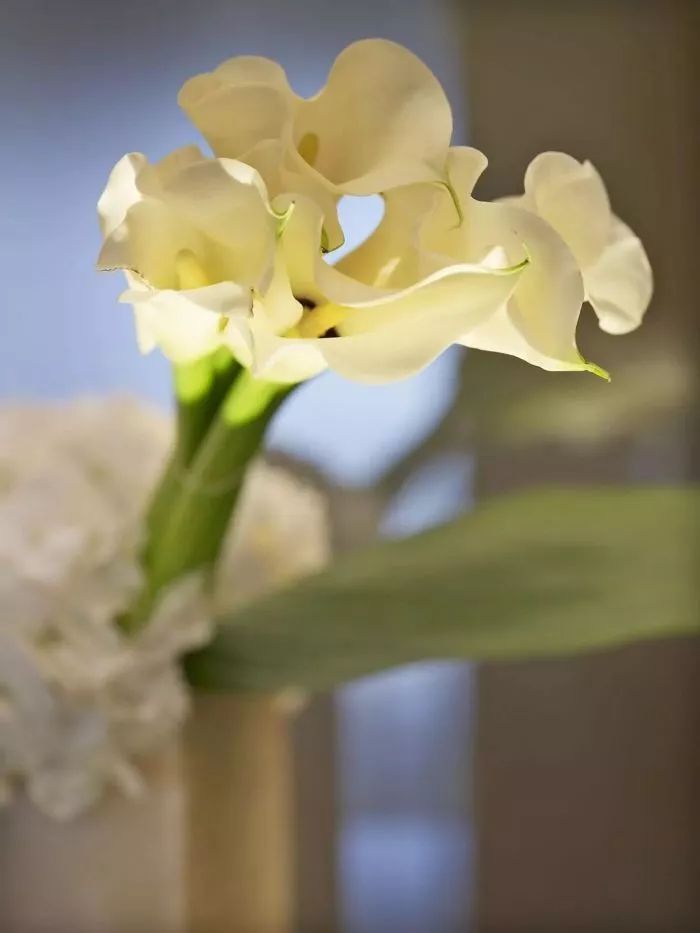 创意暴走办公室视频,创意暴走自带灯光秀的建筑