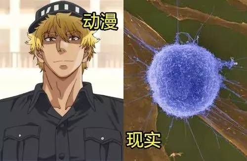 涨姿势动画,涨姿势动漫