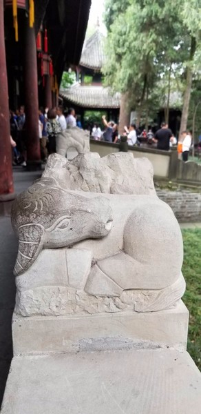 带着爸妈自由行攻略,带父母和孩子成都怎么玩