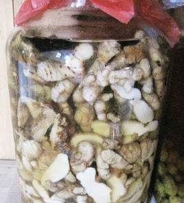 喜欢喝酒的人吃什么护胃护肝,喝酒有讲究养生酒要怎么喝才养生