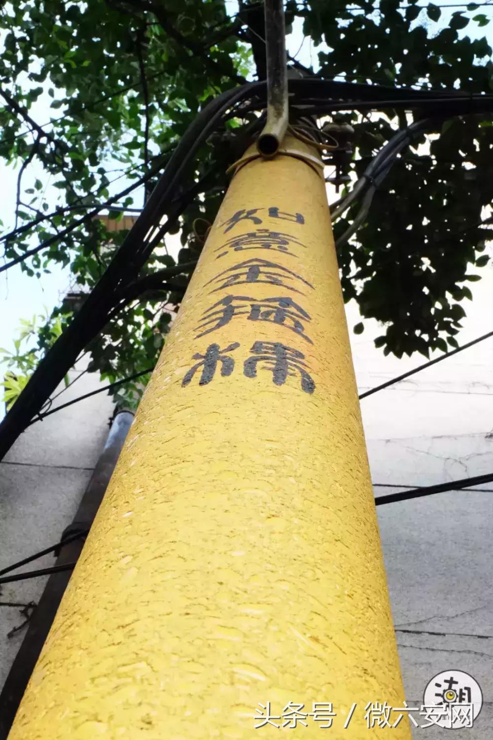 一条不足300米的林荫小巷，成为“小酒馆”后玉林的另一打卡地！