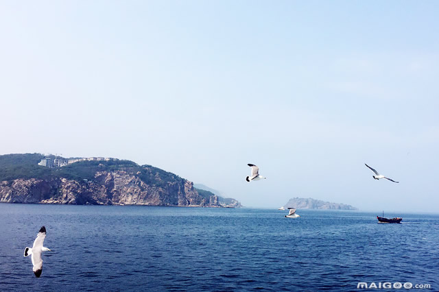 大连旅游必去十大景点有哪些,大连最值得去的旅游景点排名