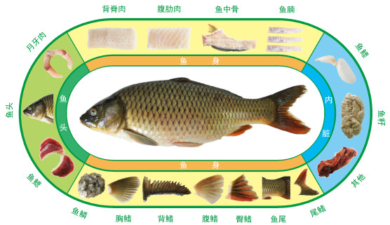 吃了多年的鲤鱼,吃了这么多年鱼就不知道什么味