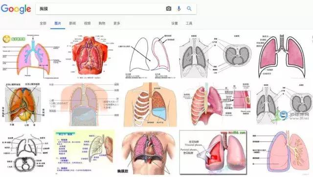 还在搜雪白、滑嫩、鲜嫩、胸膜？百度不背这个锅！