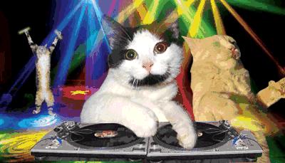 18年最火爆的网红化妆品 (好用的网红化妆品推荐)