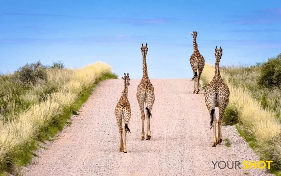 你忙着过七夕,而我用25张图纪念我们共度的这个夏天|夏末特供