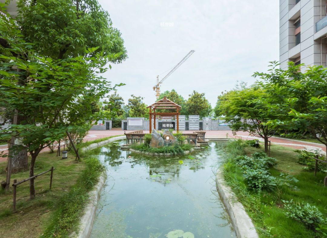 南师附中新城初中排名,南师附中新城初中招生简章最新版