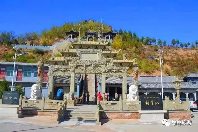 走遍榆林寻古树、品农味、游乡村，感受最清爽的一抹绿之子洲篇