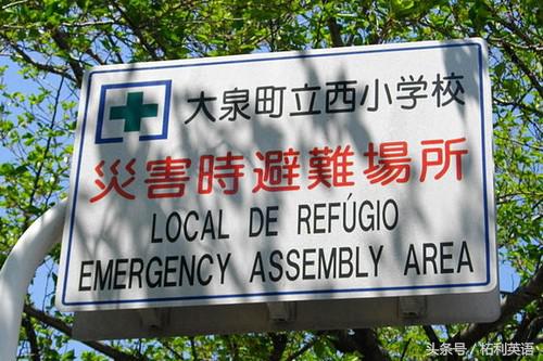 现在最流行的计算机语言,世界最流行语言排行榜