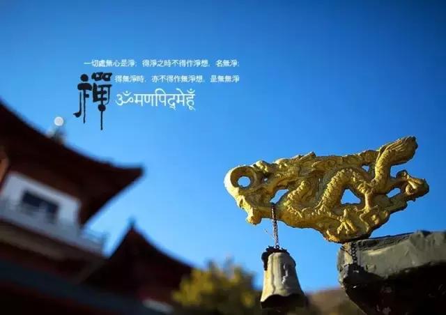 人生路如何走好,走好人生路视频