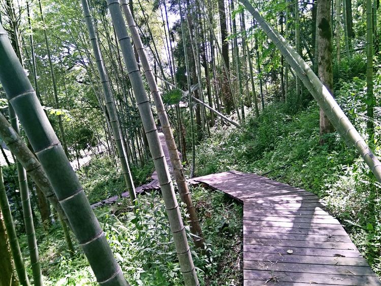 怎样打造爆款民宿,民宿怎么打造网红