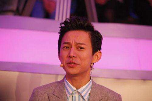 湖南卫视都有哪几位男主持,湖南卫视各个主持人的成名之路