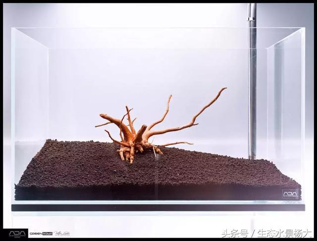 ada草缸造景什么意思,ada造景大赛60缸