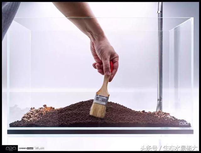 ada草缸造景什么意思,ada造景大赛60缸