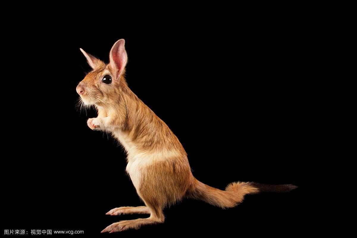 浜虹被涓栫晫鐨勭湡姝ｇ濂囧疂璐濆浘,涓栫晫涓婄湡鐨勪細鏈夌濂囧疂璐濆悧