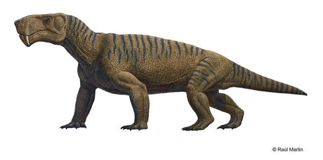 浜虹被涓栫晫鐨勭湡姝ｇ濂囧疂璐濆浘,涓栫晫涓婄湡鐨勪細鏈夌濂囧疂璐濆悧