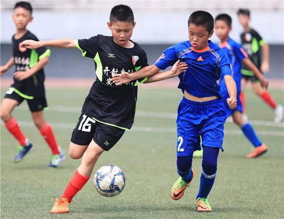 落实足球特色校建设方案,足球特色校建设及发展情况