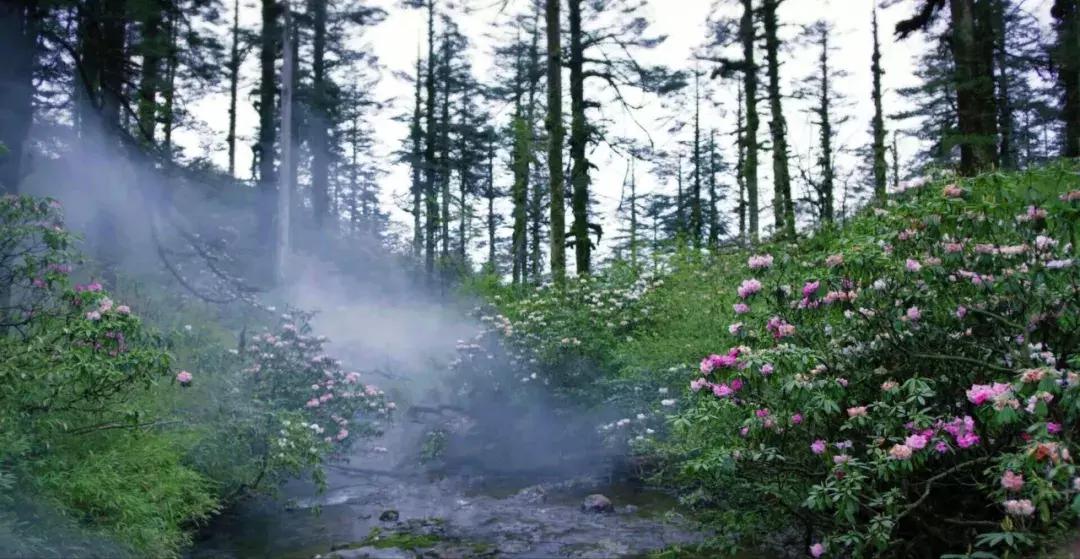 这座低调的宝藏小城去100次都不腻,这个低调的四川小城