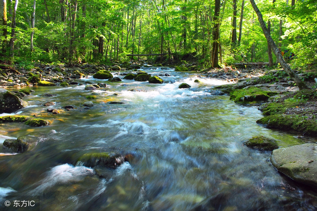 2019中考热点作文题目,2020中考作文冲刺热点押题素材