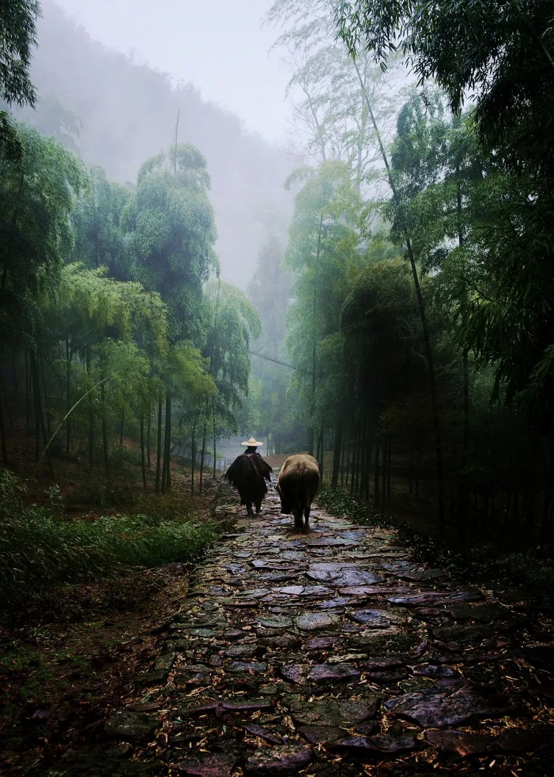 金庸笔下最美的十大旅游景点,金庸笔下的绝美风景
