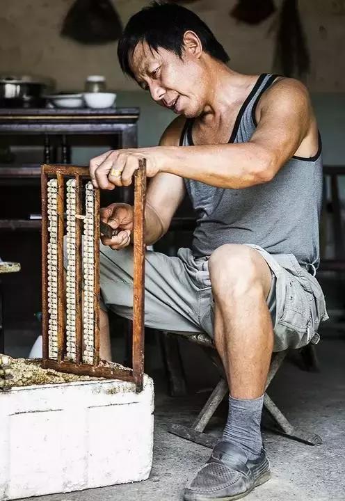 浙江最南端一座低调又迷人的小城,浙江最美隐世小城