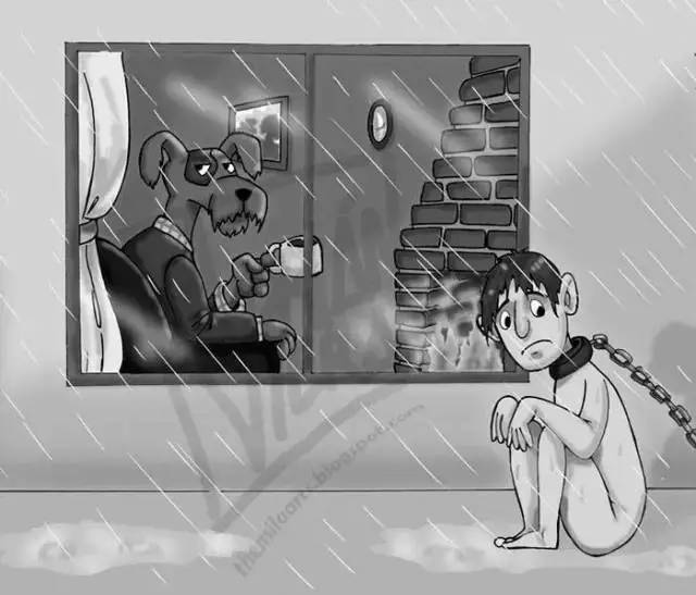 当人肉被动物从超市买回来……