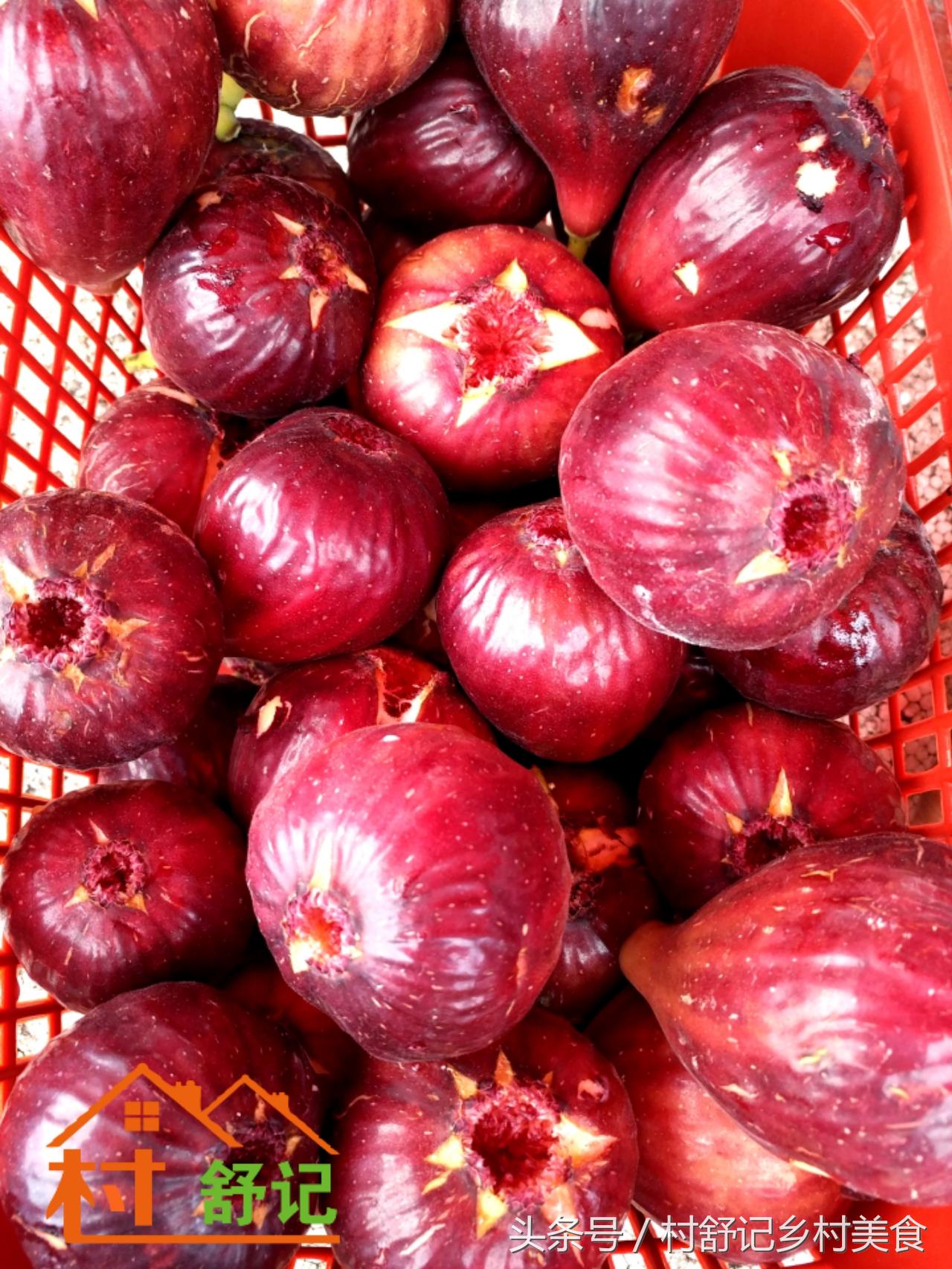 湖南无花果什么品种最好吃,溆浦县低庄无花果