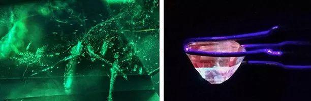 鉴宝遇到最贵的宝石,鉴宝节目专家鉴定什么石头最值钱