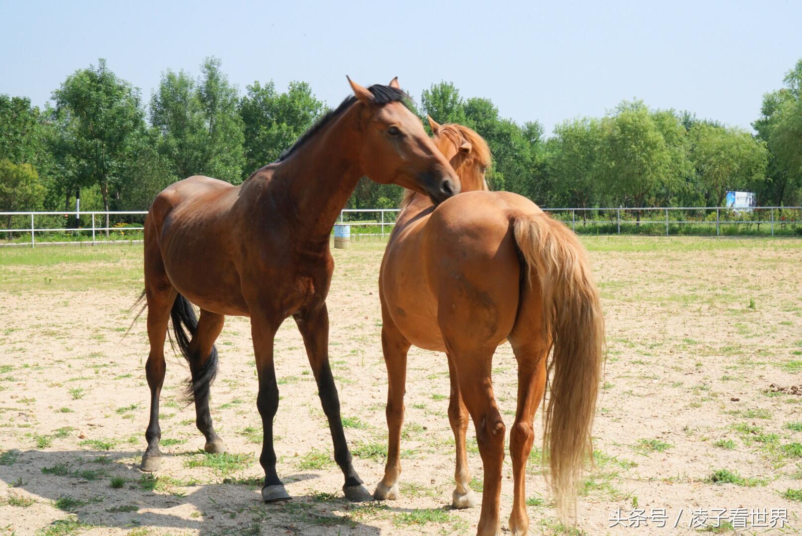 爱上东海湾的美,尽享那片无人打扰的海
