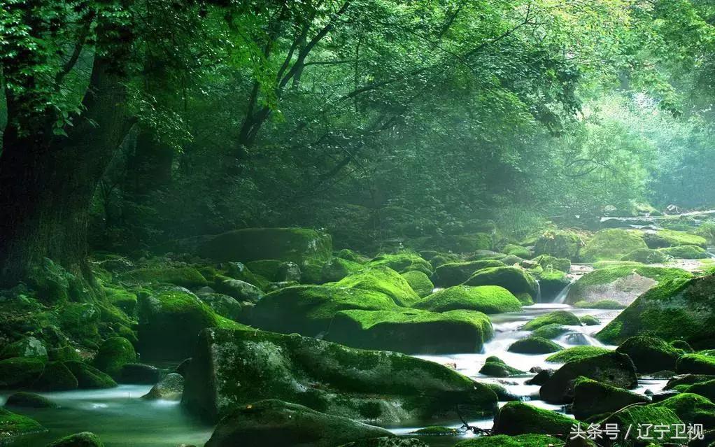 盛满欢乐，洒满真情，昨夜鸭绿江畔热情无眠！