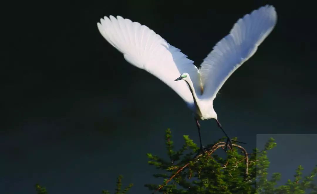 触手可及的只是短暂的幸福,触手可及的才是真实的