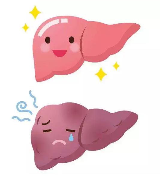 肝炎恶化,转氨酶会“通风报信”,马上喝这种水,降酶保肝