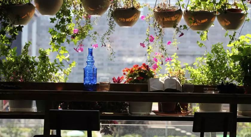 嗨玩成都,成都嗨玩旅游