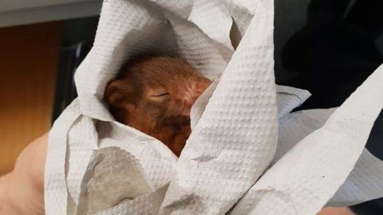 八旬老人溺水后民警救起,年近八旬“老警”勇救落水者