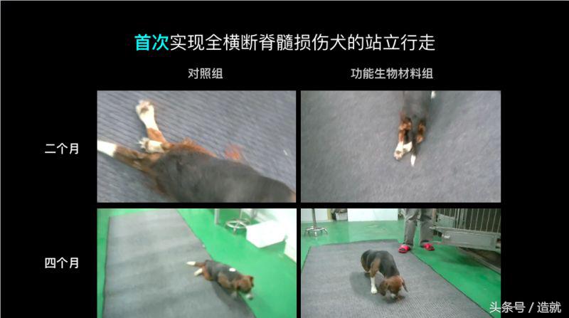 器官移植是否解决了疾病问题,器官移植什么病