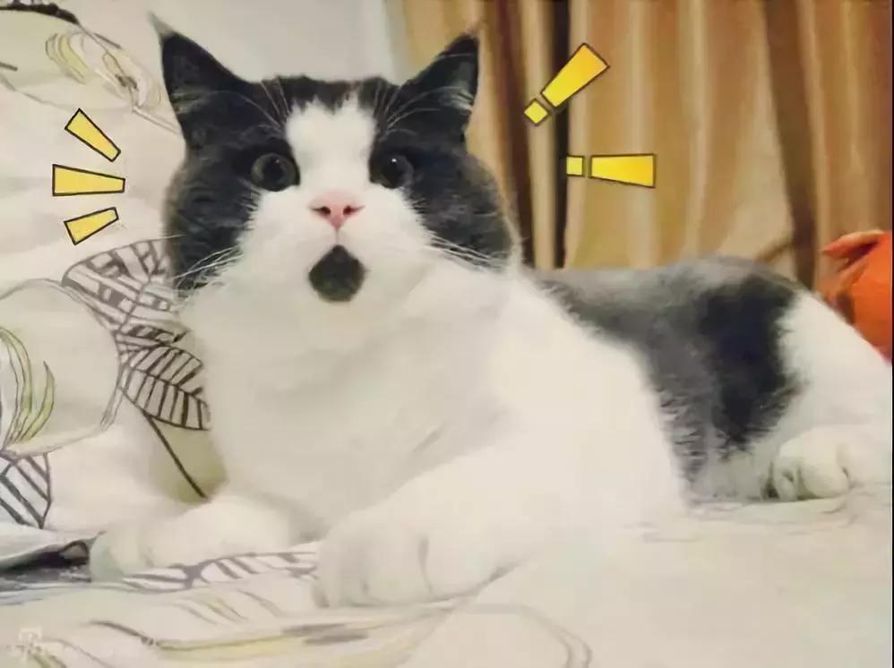 淘古着衣服店,淘古着泰国