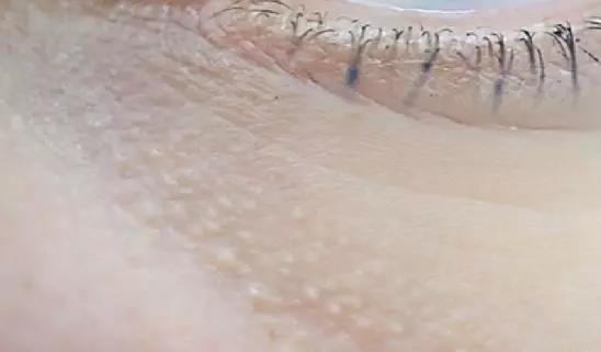 说好一起熬夜结果偷偷睡了,说好一起熬夜