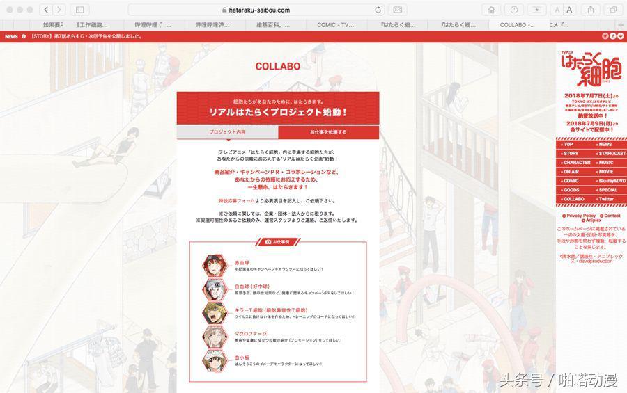 人体细胞每天都在忙啥,人体大约有60亿个细胞