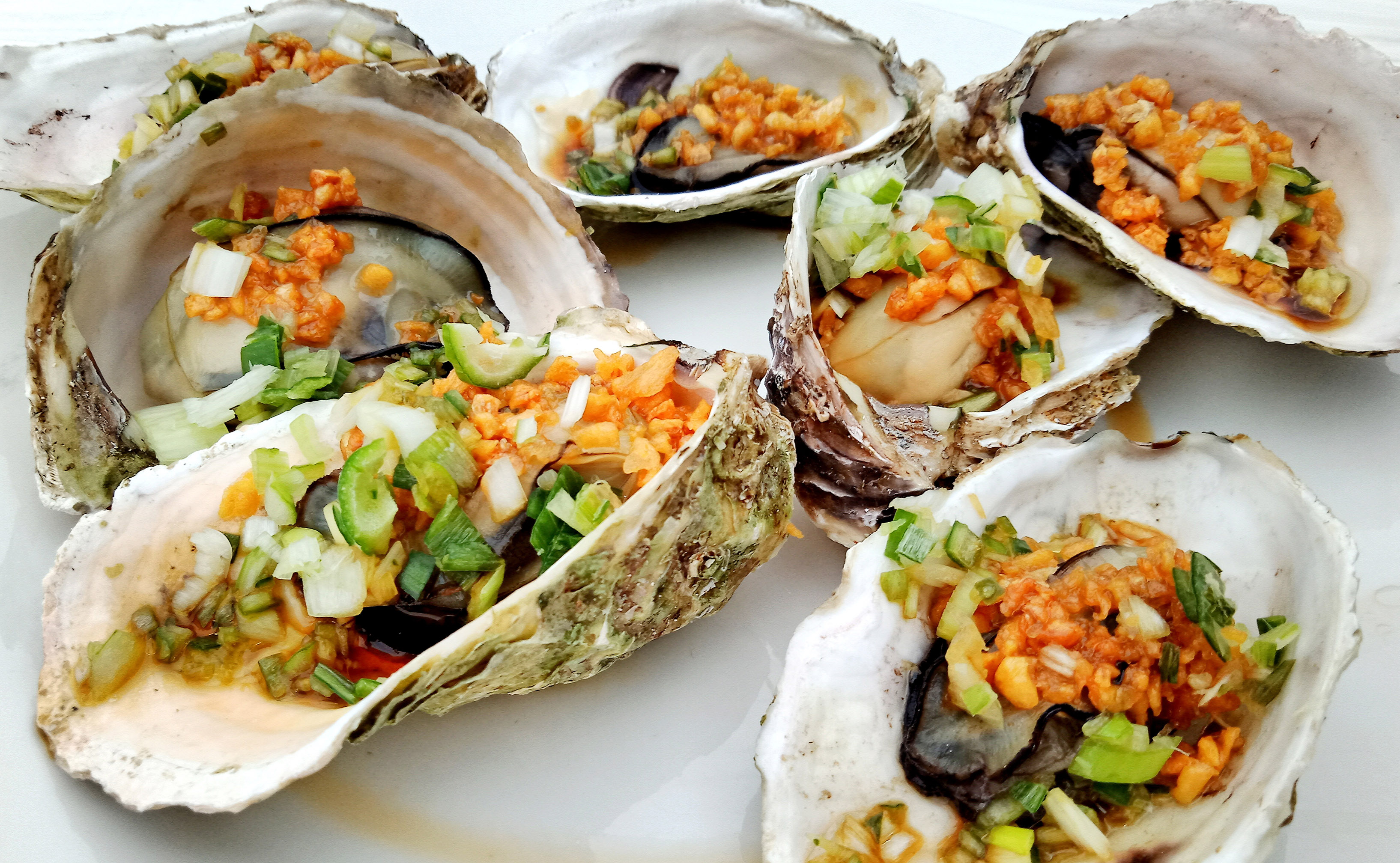 无穷尽的时光尘烟里，东戴河的厚重荣辱终将一笔勾销