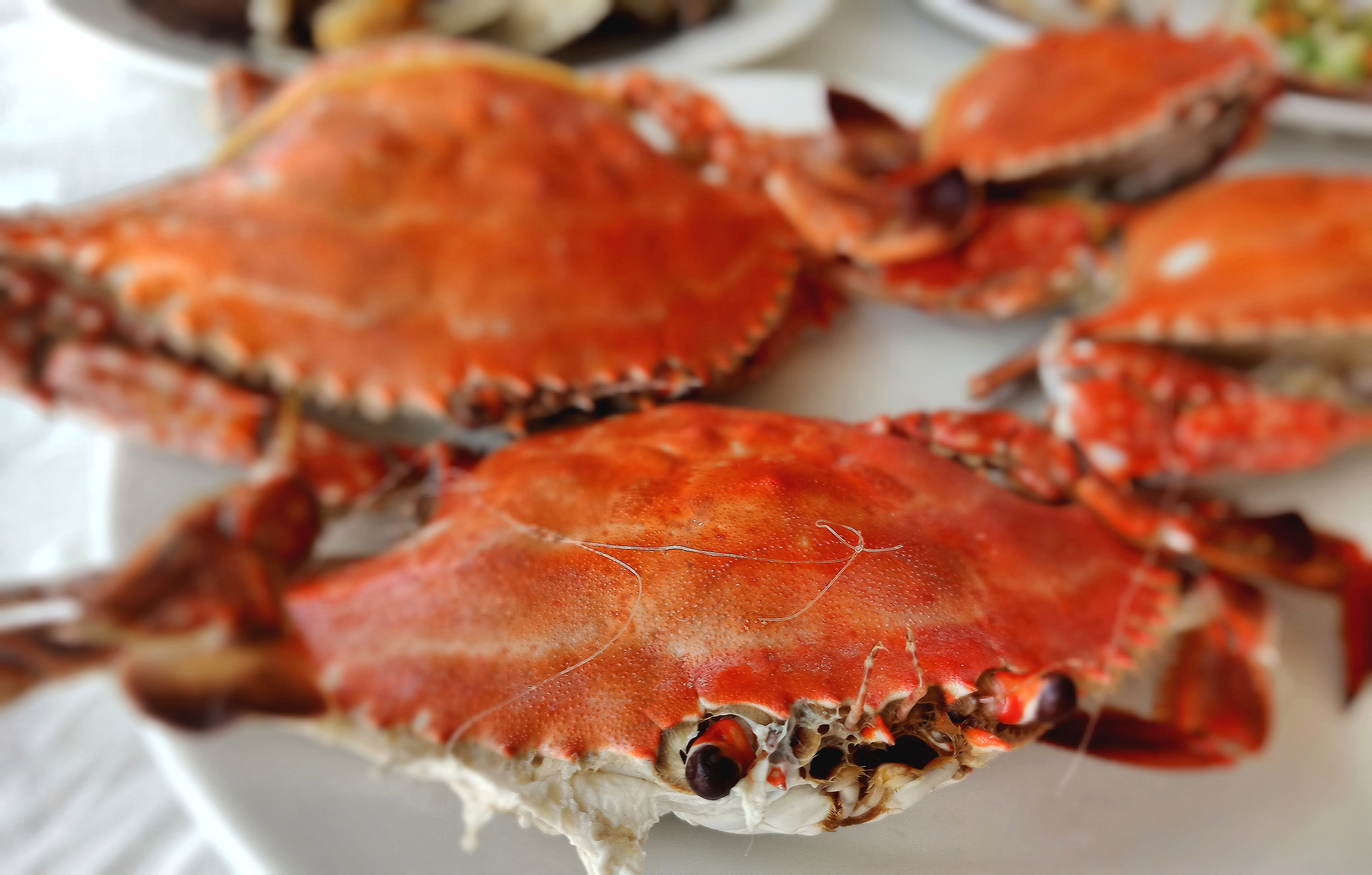 无穷尽的时光尘烟里，东戴河的厚重荣辱终将一笔勾销