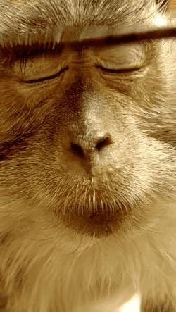 如何化妆能让圆脸变小？再也不用美图修脸了！｜技巧