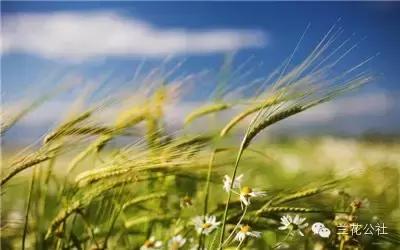 教育孩子应该尊重什么规律,教育孩子要走正道