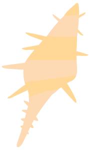 我的英语老师是一个什么样的人,英语老师在你眼中是什么样的人