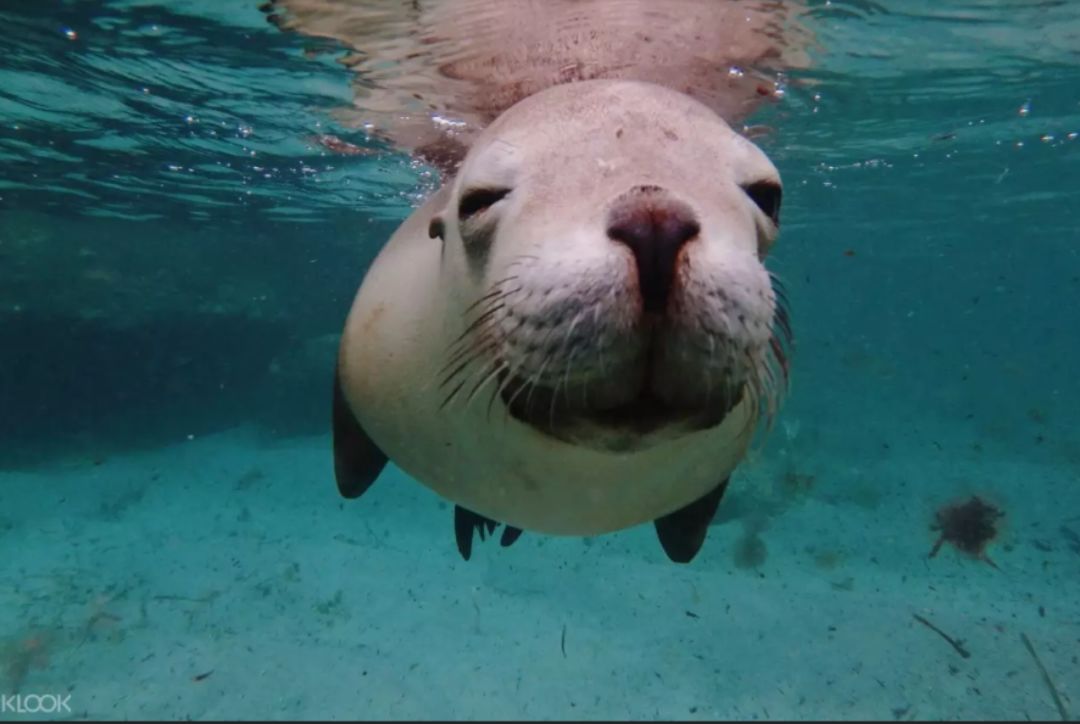 南澳除了美酒美食，还有这些超赞的打卡体验