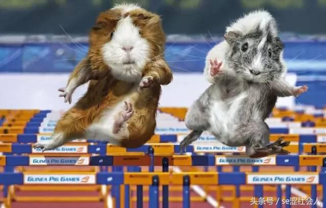 全球100个值得去的地方,bbc评出一生必去100个旅行地