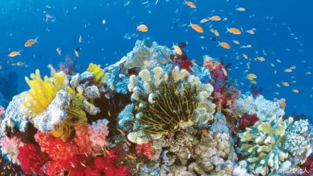 全球100个值得去的地方,bbc评出一生必去100个旅行地