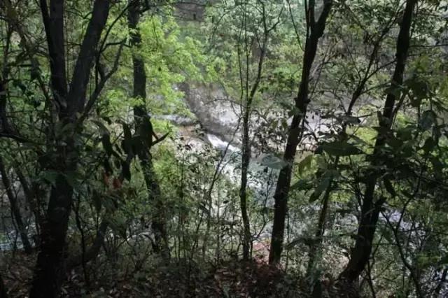 瑶里古镇一日游攻略,景德镇北站到瑶里古镇要多久