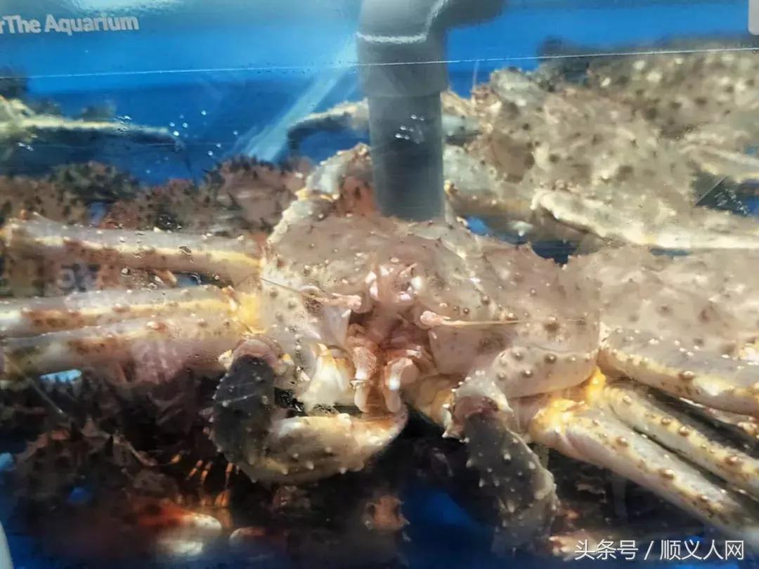 北京顺义哪个超市买菜便宜,北京顺义超市购物