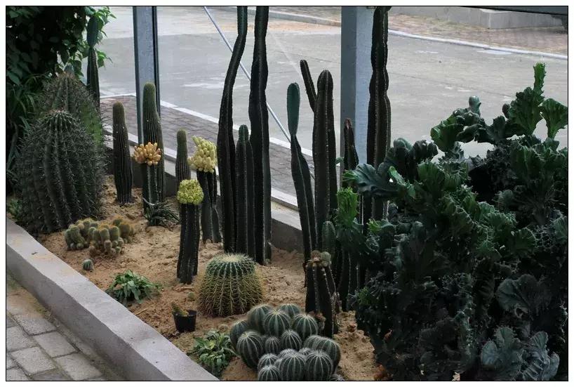 再见合肥师范完整视频,合肥二中校园