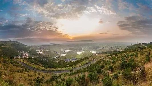 脆甜多汁的黄桃马上进入采摘季,锦绣黄桃罐头